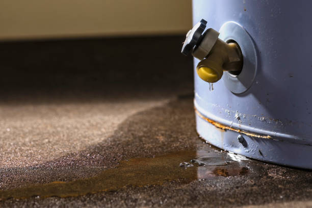 Best Flood restoration services  in Secaucus, NJ