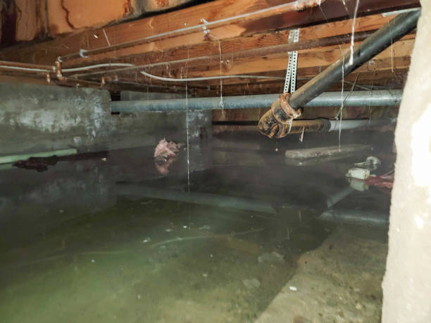 Best Flood damage cleanup  in Secaucus, NJ