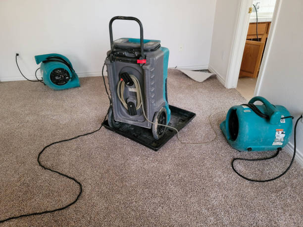  Secaucus, NJ Water damage restoration Pros