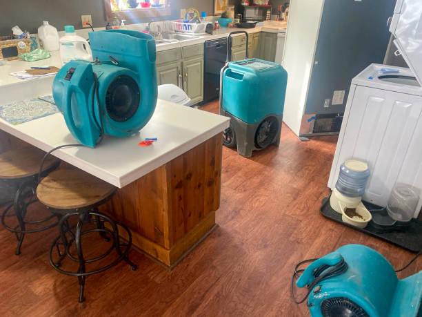 Best 24/7 water damage repair  in Secaucus, NJ