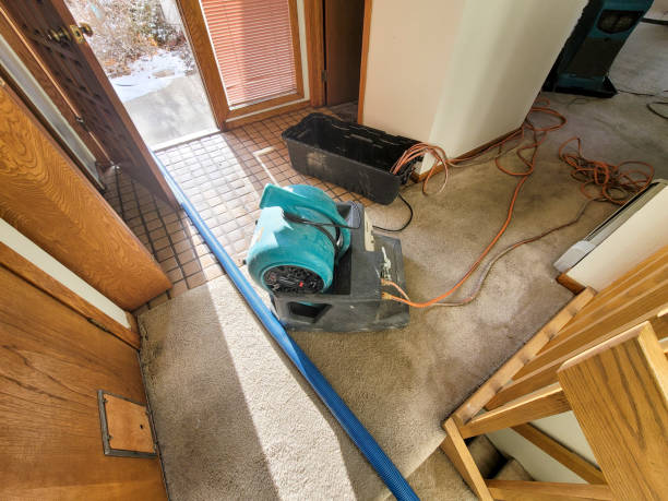 Best Mold removal after water damage  in Secaucus, NJ