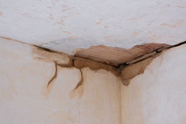 Best Basement water damage restoration  in Secaucus, NJ