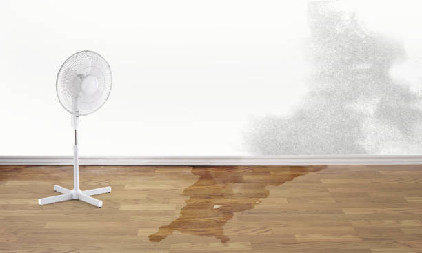 Reliable Secaucus, NJ Water damage restoration Solutions