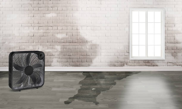 Best Water damage contractors near me  in Secaucus, NJ