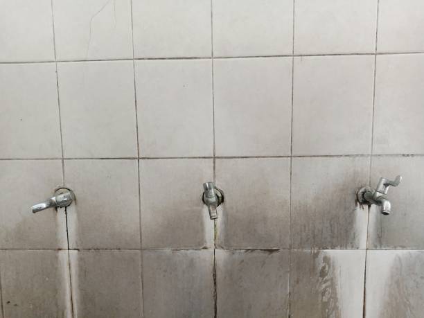 Best Water damage restoration specialists  in Secaucus, NJ