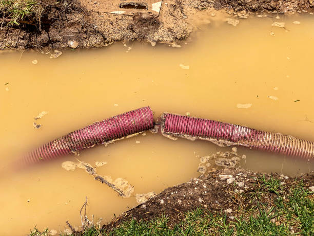 Best 24-hour water damage restoration  in Secaucus, NJ